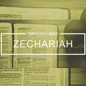 35 ZECHARIAH 2026 THROUGH THE BIBLE NOTES